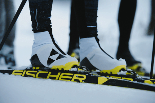 Prolink Langlauf Skating & Rollski Skiroller Bindung mit Fixator Model 06 NNN 
